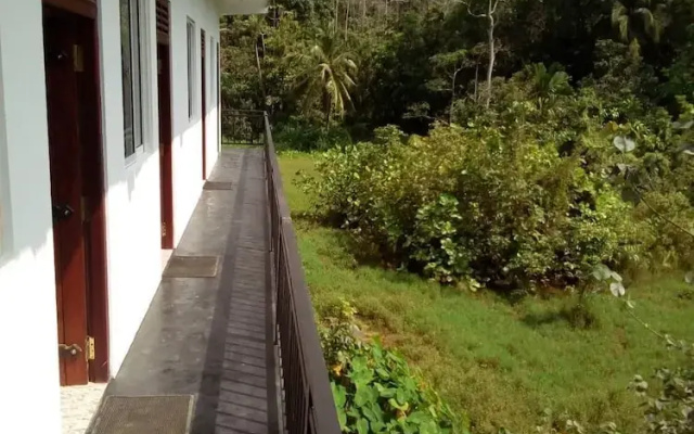Nexus villa