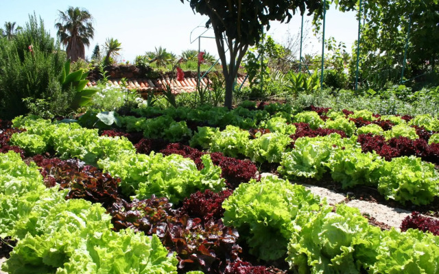 Quinta Splendida Wellness & Botanical Garden