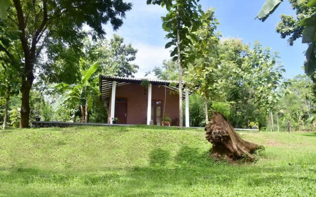 Safari Queens Resort