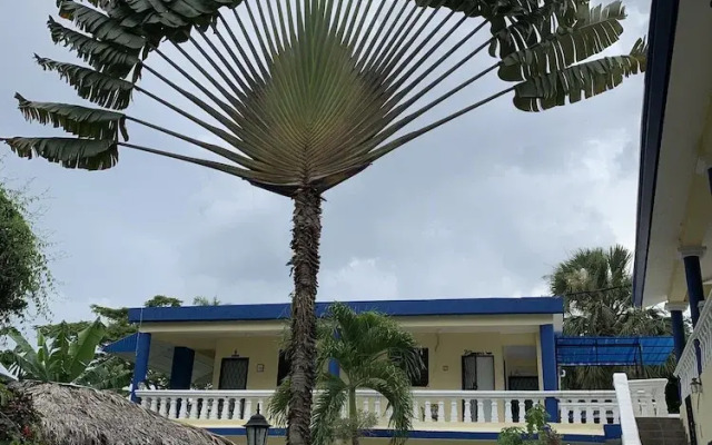 Sana El Jardin Secreto