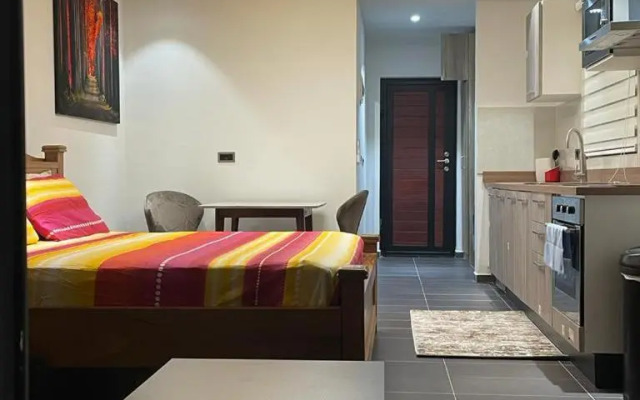 Park Apartments D-plus One bedroom + Living Room