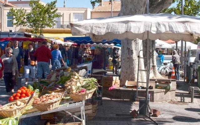 Appartement Le Grau d'Agde, 1 pièce, 4 personnes - FR-1-423-39