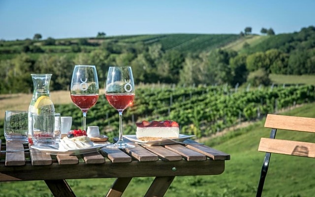 Boutique Hotel Vinarství Škrobák