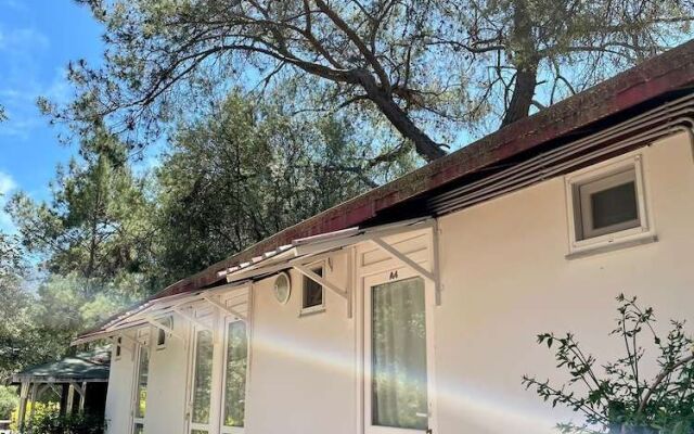 Olympos Angels Garden