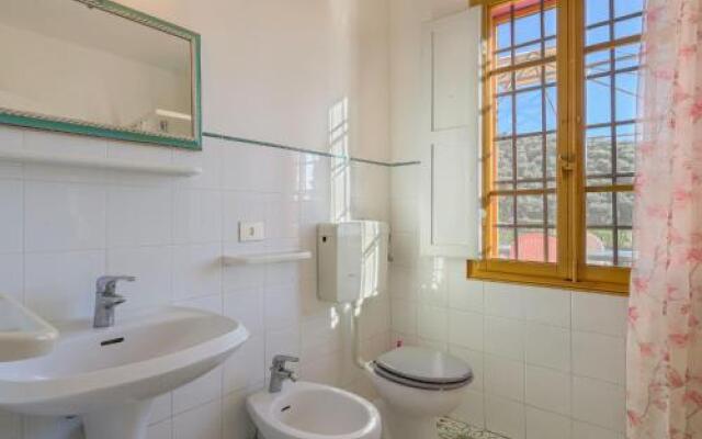 Conte Francesco Ii 233S