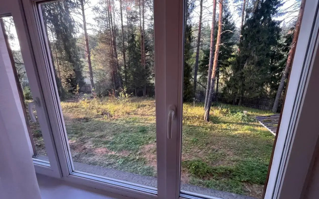 Severnaya zvezda