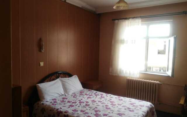 Otel Yeni̇ Çinar