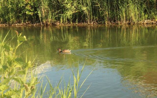 Stella Maris Modern Retreat