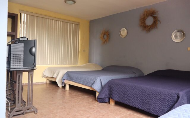 House of Ficus Banderilla,veracruz-mexico