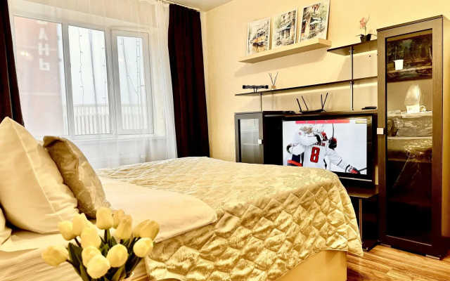 Апартаменты на Восточно-Кругликовской 22/3