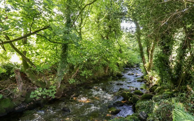 Taw River View