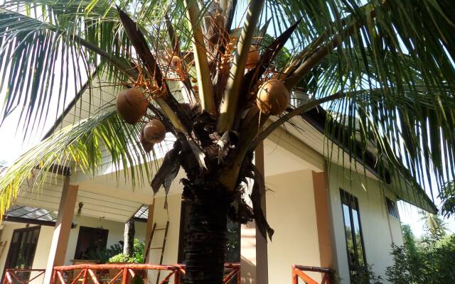 Tropical Heavens Garden Samui