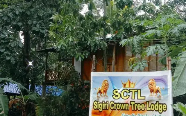 Peafowl Tree Lodge