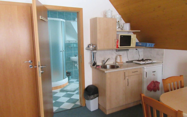 Apartment Dvořáků