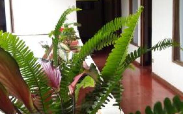 Hotel Arbol Dorado