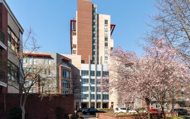 Alexandria Alluring 2BD 2BA Apartment