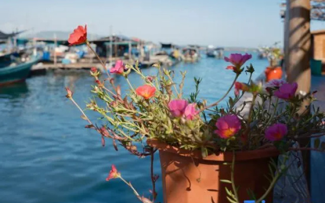 Tanka Sea Hostel(Lingshui South-Bay Monkey Island