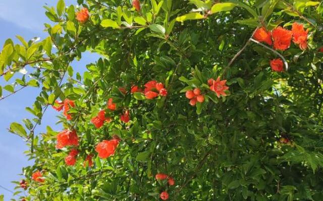 Logement calme et ensoleillé dans maison de ville