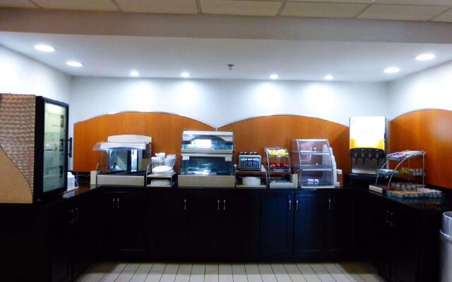 Spark by Hilton Calhoun