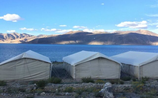 Pangong Heritage Camp