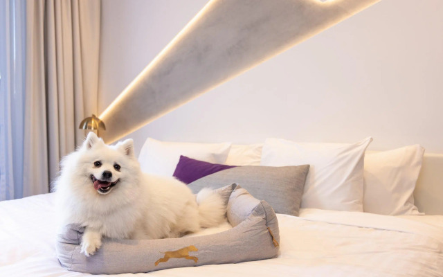 Hotel X Brisbane Fortitude Vly, Vignette Collection by IHG