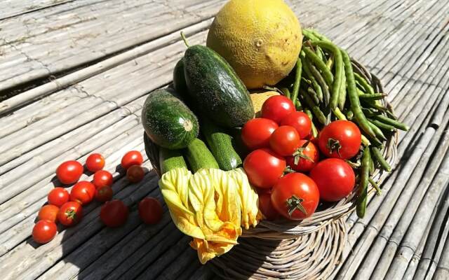 Masseria Fracchicchi