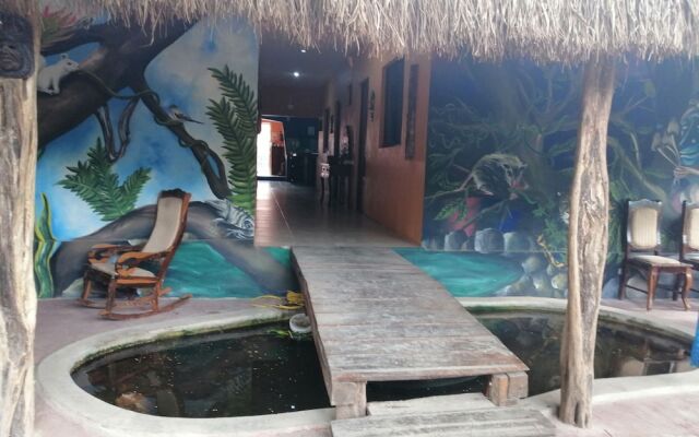Casa Xtakay - Hostel