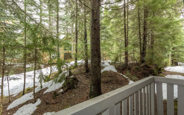Forest Trails by Whistler Premier