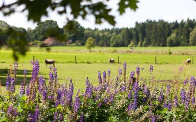 Luxe Wellness Kamer Op De Boerderij