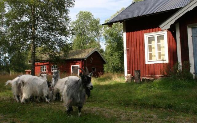 Knipberget B&B