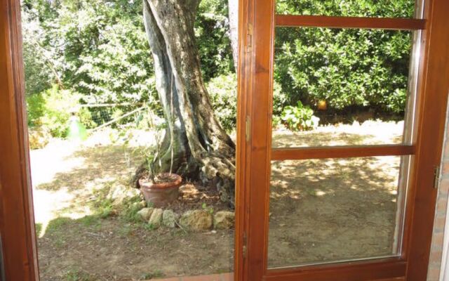 House Ulivo Montescudaio