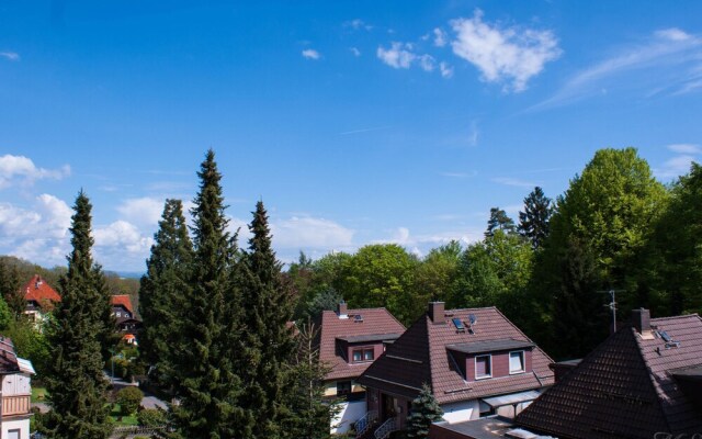 Spacious Apartment in Bad Sachsa with Pool