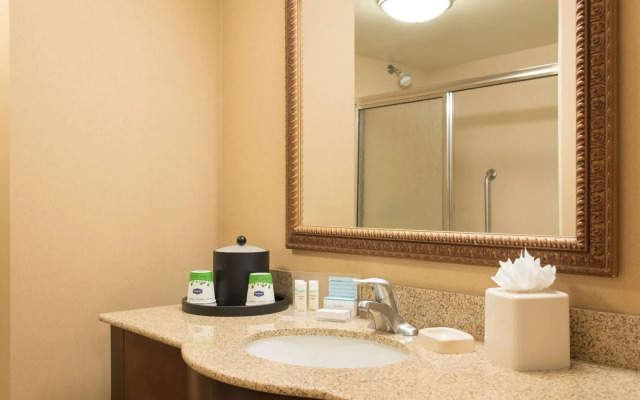 Walt Disney World Swan