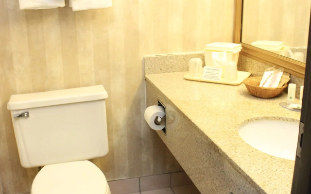 Quality Inn & Suites Detroit Metro Airport