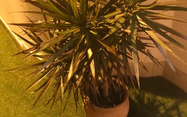 Sun Place Guest House