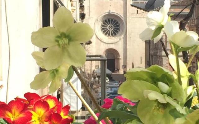 B&B Homer Trento