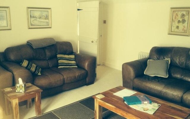Lillys Pad