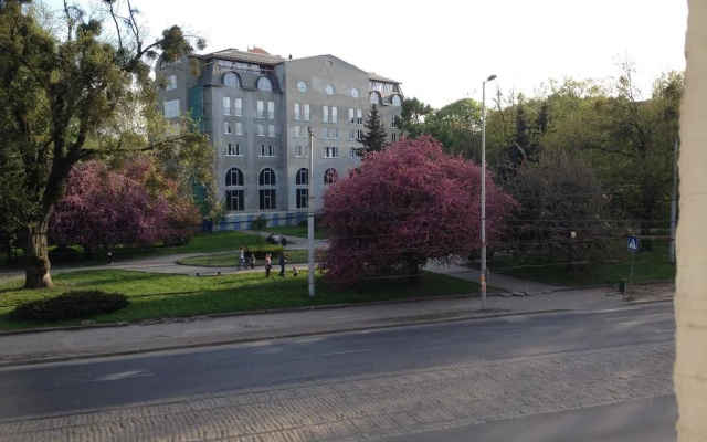 Альфа Апартаменты — фото