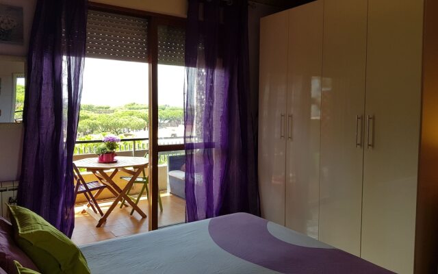 Beautiful colored room