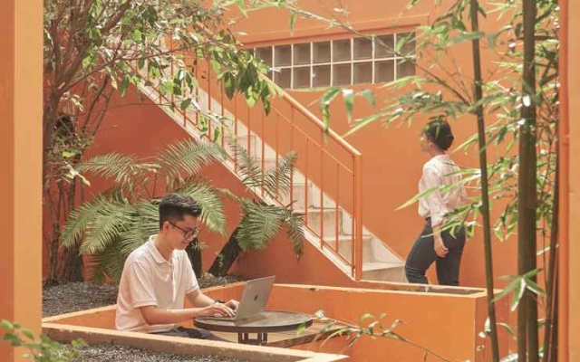 Express by M Village Dien Bien Phu (The Tropic), a brand  of Modern Village Lifestyle – People – Ho Chi Minh City