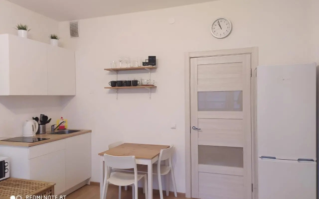 Апартаменты на проспекте Европейский 8