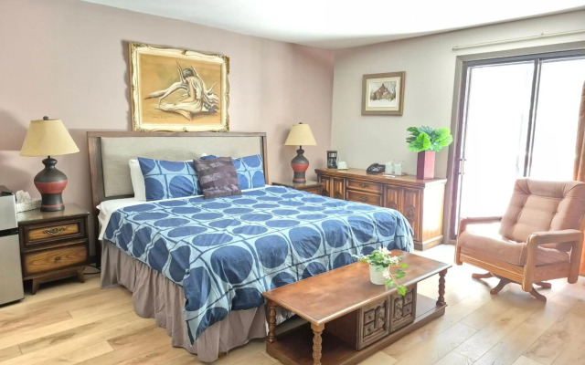 Motel Le Radisson de Val-David