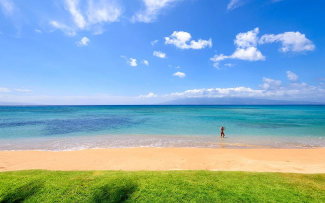 Hale Mahina B401