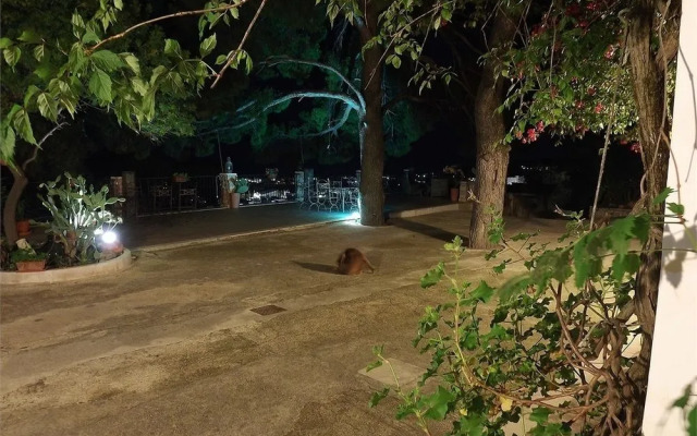 Residenza Collina dei Pini