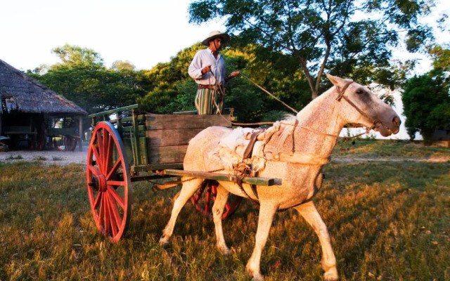 Buena Vista Estancia
