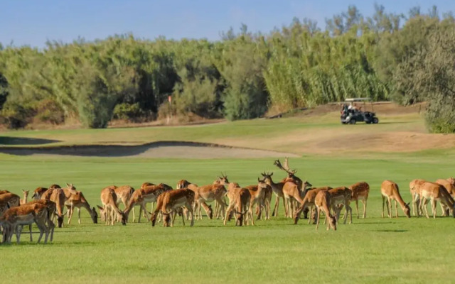 Villa V3 4 pax in Isola Albarella