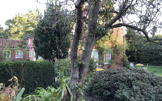 Crown House Bed & Breakfast