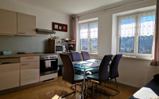 Eisenerz Stefan Apartment / Ferien Wohnung