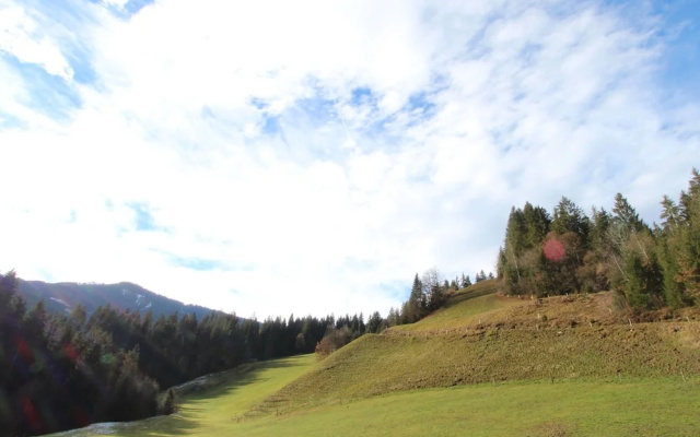 Beautiful Apartment Near Ski Area in Westendorf
