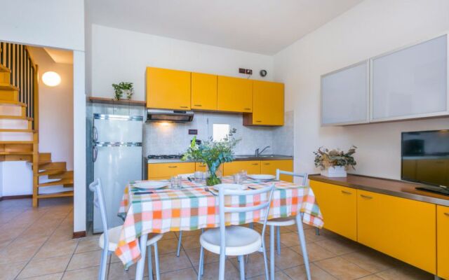 Robinia/Pinetine (CAO430)